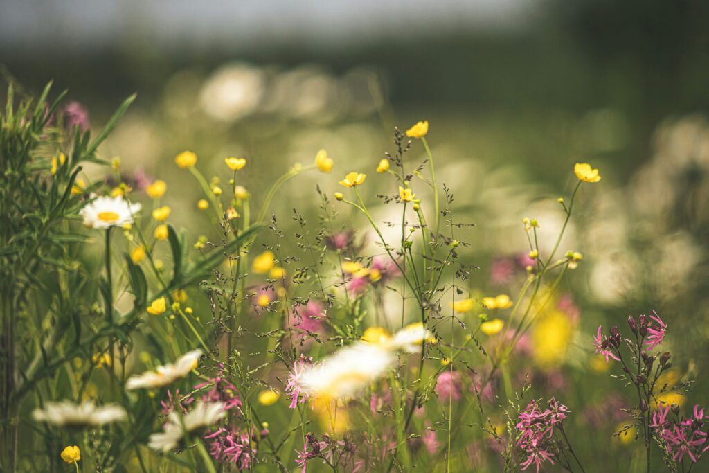 Hello World Featured Image